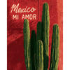 Mexico mi amor - Diamond Painting