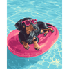 Hotdog in roze - Diamond Painting