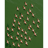 Flamingo's van bovenaf - Diamond Painting