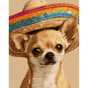 Fiesta chihuahua - Diamond Painting