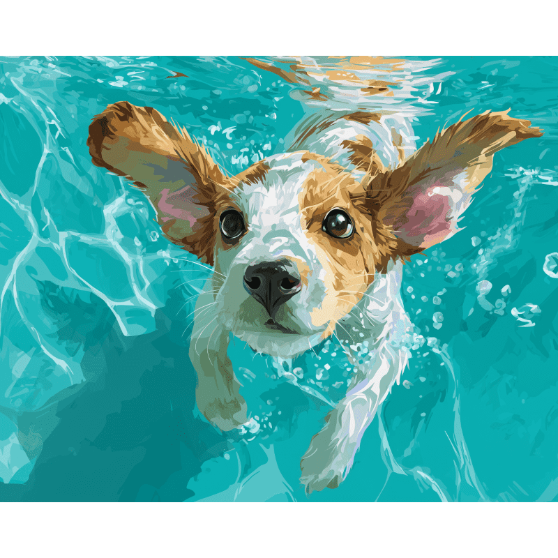 Onderwaterzwemmer - Diamond Painting