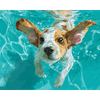 Onderwaterzwemmer - Diamond Painting