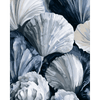 Kustschelpen - Diamond Painting