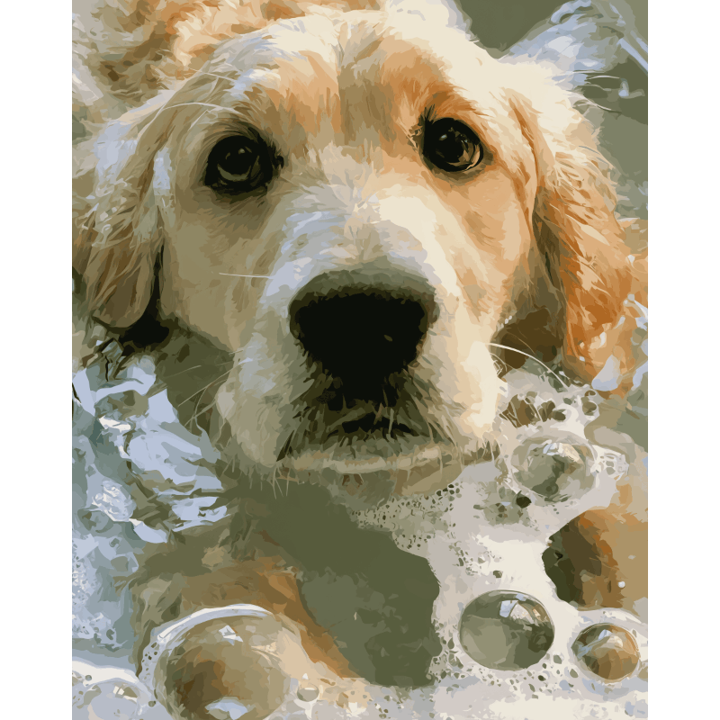 Zeepnatte golden retriever - Diamond Painting