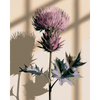 Schotse distel - Diamond Painting