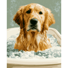 Baden in bad - Diamond Painting