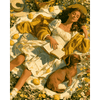 Zomerdagen - Diamond Painting