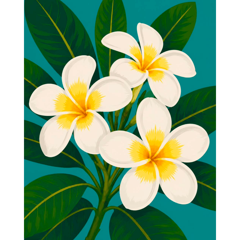 Frangipani bloemen - Diamond Painting