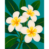Frangipani bloemen - Diamond Painting