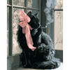 Fluwelen attitude - Diamond Painting