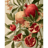 Bloeiende granaatappels - Diamond Painting