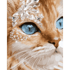 Kristallen snorharen - Diamond Painting