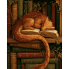 Drakenbibliotheek - Diamond Painting