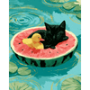 Watermeloendromen - Diamond Painting