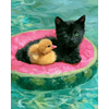 Zomerse metgezellen - Diamond Painting