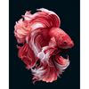 Fluwelen beta - Diamond Painting