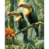 Tropische toekans - Diamond Painting