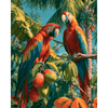 Tropische metgezellen - Diamond Painting