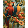 Regenwoud duo - Diamond Painting