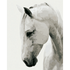 Wit paard - Diamond Painting