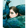Pauwendame - Diamond Painting