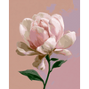 Enkele magnolia - Diamond Painting
