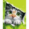Glurende kitten - Diamond Painting