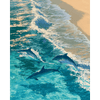 Waar dolfijnen dansen - Diamond Painting