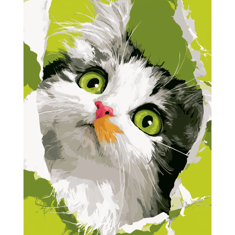 Smaragdgroene ogen - Diamond Painting