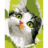 Smaragdgroene ogen - Diamond Painting