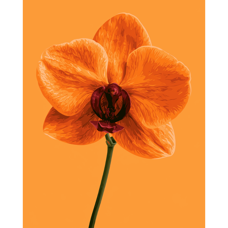 Mandarijn orchidee - Diamond Painting