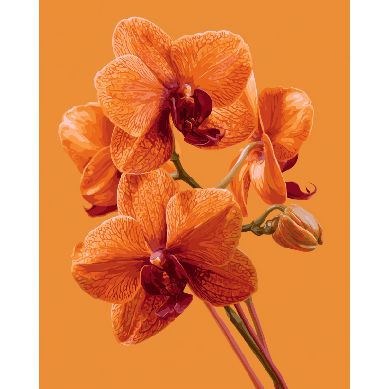 Orchidee gloed - Diamond Painting