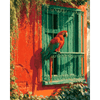 Colombiaanse vriend - Diamond Painting