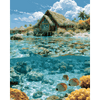Caribisch geluk - Diamond Painting