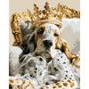 Koninklijke setter - Diamond Painting