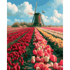 Nederlands landschap - Diamond Painting
