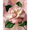 Zachte camelia - Diamond Painting