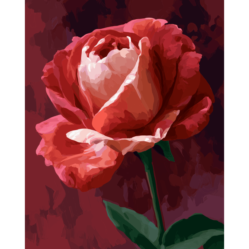Karmozijnrode roos - Diamond Painting
