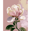 Magnolia gratie - Diamond Painting