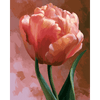 Blozende tulp - Diamond Painting