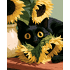 Zwarte kat & zonnebloemen - Diamond Painting
