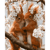Bloesem knuffels - Diamond Painting