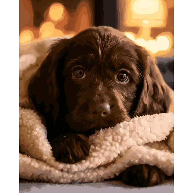 Chocolade labrador pup - Diamond Painting
