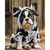 Gevlekte hond - Diamond Painting