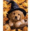 Klein spreukpuppy - Diamond Painting
