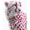 Framboos cheetah - Diamond Painting
