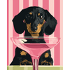 Cocktailhond - Diamond Painting