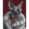 Robijn Sphynx - Diamond Painting