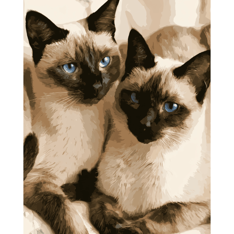 Siamese metgezellen - Diamond Painting