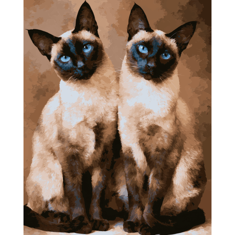 Siamese duo - Diamond Painting